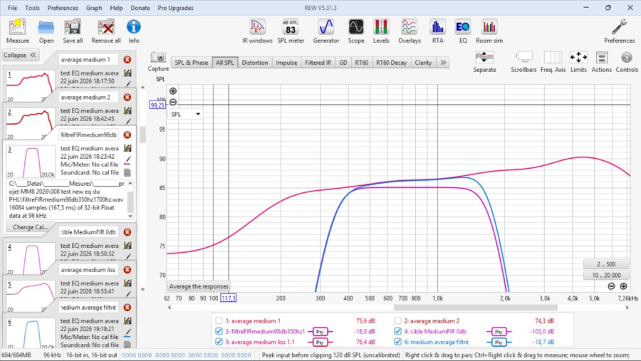 1 rew linearisation average du medium.jpg